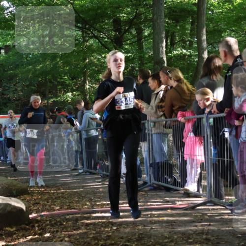 28.09.2025 - 33. Volkslauf durch das schöne Alstertal Strokosch-Dieckow http://msf.ph/oto/8965731 28.09.2025 11:28:56 Ziel 3345, 3355, 3383, 3914, 3937 meine-sportfotos.de