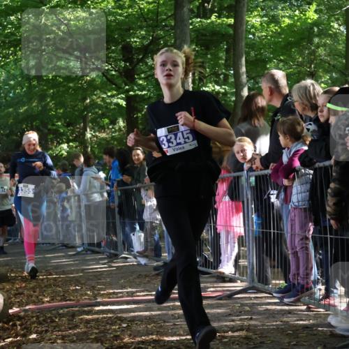 28.09.2025 - 33. Volkslauf durch das schöne Alstertal Strokosch-Dieckow http://msf.ph/oto/8965732 28.09.2025 11:28:56 Ziel 3345, 3355, 3383, 3914, 3937 meine-sportfotos.de
