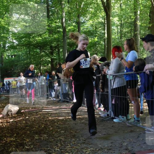 28.09.2025 - 33. Volkslauf durch das schöne Alstertal Strokosch-Dieckow http://msf.ph/oto/8965733 28.09.2025 11:28:57 Ziel 3345, 3355, 3383, 3914, 3937 meine-sportfotos.de