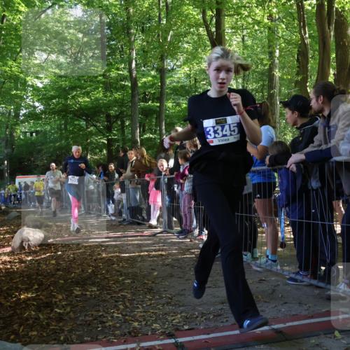 28.09.2025 - 33. Volkslauf durch das schöne Alstertal Strokosch-Dieckow http://msf.ph/oto/8965734 28.09.2025 11:28:57 Ziel 3345, 3355, 3383, 3914, 3937 meine-sportfotos.de