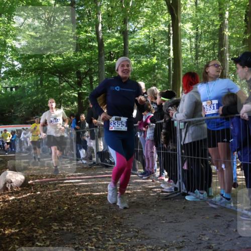 28.09.2025 - 33. Volkslauf durch das schöne Alstertal Strokosch-Dieckow http://msf.ph/oto/8965736 28.09.2025 11:28:58 Ziel 3355, 3383, 3914, 3937 meine-sportfotos.de