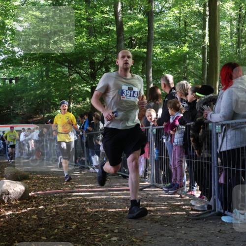 28.09.2025 - 33. Volkslauf durch das schöne Alstertal Strokosch-Dieckow http://msf.ph/oto/8965738 28.09.2025 11:28:59 Ziel 3355, 3383, 3914, 3937 meine-sportfotos.de