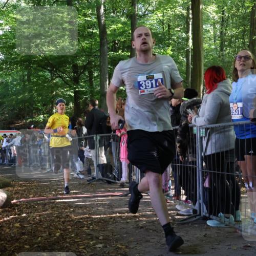 28.09.2025 - 33. Volkslauf durch das schöne Alstertal Strokosch-Dieckow http://msf.ph/oto/8965739 28.09.2025 11:29:00 Ziel 3383, 3914, 3937 meine-sportfotos.de