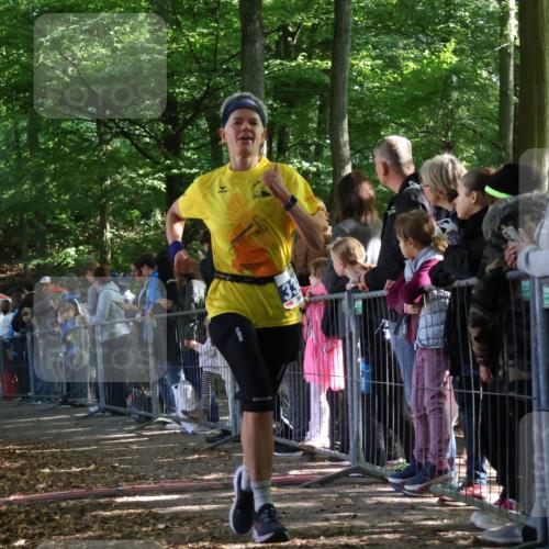 28.09.2025 - 33. Volkslauf durch das schöne Alstertal Strokosch-Dieckow http://msf.ph/oto/8965741 28.09.2025 11:29:00 Ziel 3383, 3914, 3937 meine-sportfotos.de