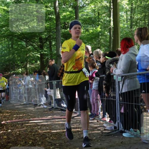 28.09.2025 - 33. Volkslauf durch das schöne Alstertal Strokosch-Dieckow http://msf.ph/oto/8965742 28.09.2025 11:29:01 Ziel 3383, 3937 meine-sportfotos.de