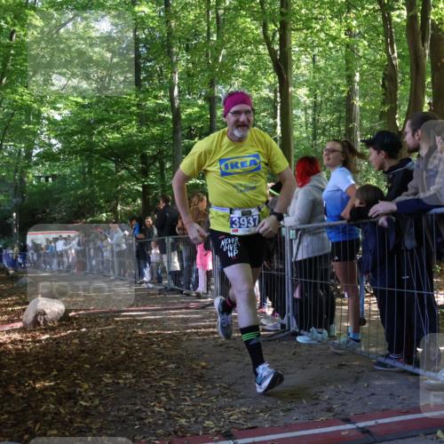 28.09.2025 - 33. Volkslauf durch das schöne Alstertal Strokosch-Dieckow http://msf.ph/oto/8965747 28.09.2025 11:29:04 Ziel 3321, 3937 meine-sportfotos.de