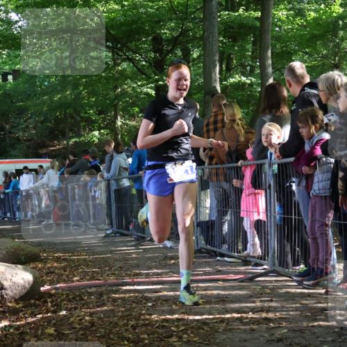 28.09.2025 - 33. Volkslauf durch das schöne Alstertal Strokosch-Dieckow http://msf.ph/oto/8965751 28.09.2025 11:29:10 Ziel 3321 meine-sportfotos.de