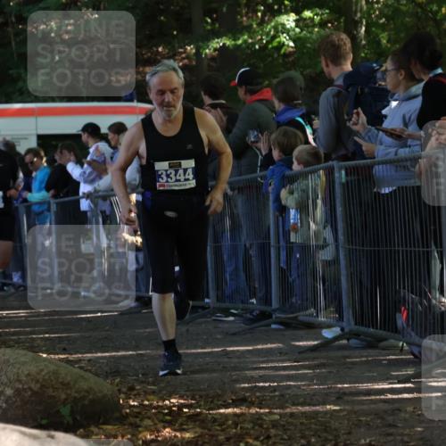 28.09.2025 - 33. Volkslauf durch das schöne Alstertal Strokosch-Dieckow http://msf.ph/oto/8965754 28.09.2025 11:29:31 Ziel 3088, 3095, 3096, 3138, 3344 meine-sportfotos.de