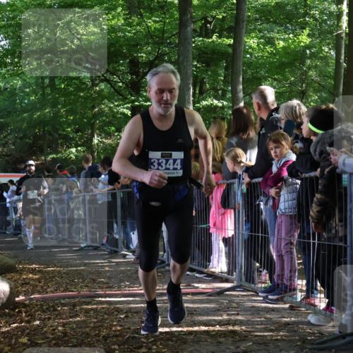 28.09.2025 - 33. Volkslauf durch das schöne Alstertal Strokosch-Dieckow http://msf.ph/oto/8965759 28.09.2025 11:29:33 Ziel 1513, 3088, 3095, 3096, 3138, 3344 meine-sportfotos.de