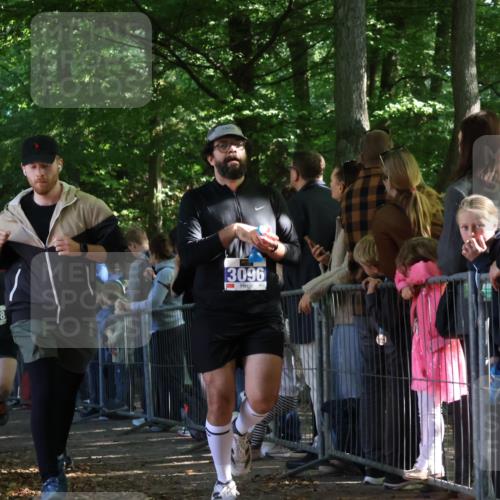 28.09.2025 - 33. Volkslauf durch das schöne Alstertal Strokosch-Dieckow http://msf.ph/oto/8965763 28.09.2025 11:29:36 Ziel 1513, 1515, 1546, 3088, 3095, 3096, 3138, 3236, 3930 meine-sportfotos.de
