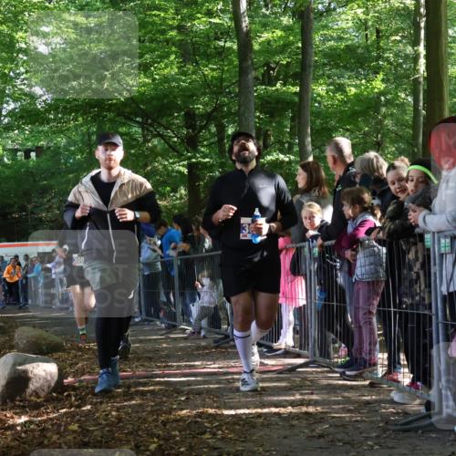 28.09.2025 - 33. Volkslauf durch das schöne Alstertal Strokosch-Dieckow http://msf.ph/oto/8965765 28.09.2025 11:29:37 Ziel 1513, 1515, 1546, 3088, 3095, 3096, 3138, 3236, 3930 meine-sportfotos.de