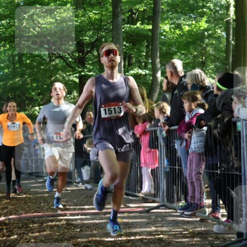 28.09.2025 - 33. Volkslauf durch das schöne Alstertal Strokosch-Dieckow http://msf.ph/oto/8965775 28.09.2025 11:29:42 Ziel 1513, 1515, 1546, 3236, 3930 meine-sportfotos.de