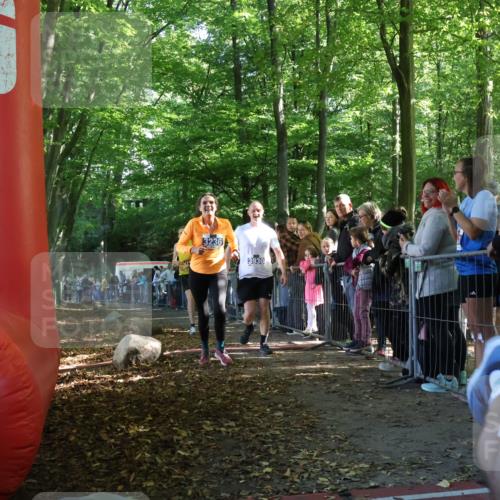 28.09.2025 - 33. Volkslauf durch das schöne Alstertal Strokosch-Dieckow http://msf.ph/oto/8965779 28.09.2025 11:29:44 Ziel 1515, 1546, 3236, 3930 meine-sportfotos.de