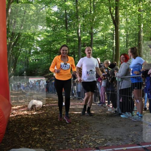 28.09.2025 - 33. Volkslauf durch das schöne Alstertal Strokosch-Dieckow http://msf.ph/oto/8965780 28.09.2025 11:29:44 Ziel 1515, 1546, 3236, 3930 meine-sportfotos.de