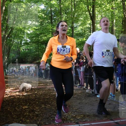 28.09.2025 - 33. Volkslauf durch das schöne Alstertal Strokosch-Dieckow http://msf.ph/oto/8965782 28.09.2025 11:29:45 Ziel 1515, 3115, 3236, 3930 meine-sportfotos.de