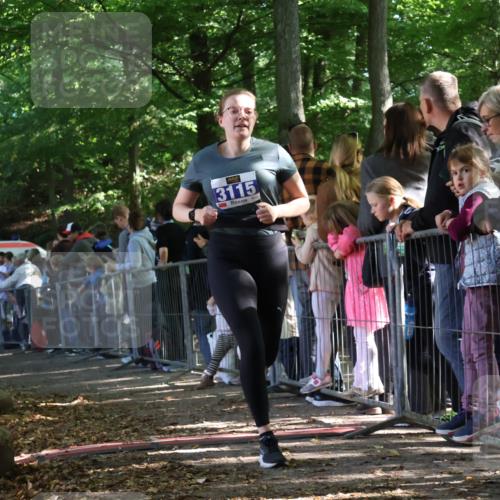 28.09.2025 - 33. Volkslauf durch das schöne Alstertal Strokosch-Dieckow http://msf.ph/oto/8965785 28.09.2025 11:29:54 Ziel 3053, 3115 meine-sportfotos.de