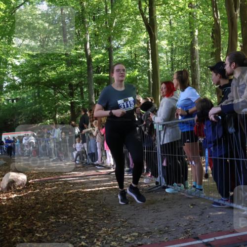 28.09.2025 - 33. Volkslauf durch das schöne Alstertal Strokosch-Dieckow http://msf.ph/oto/8965786 28.09.2025 11:29:55 Ziel 1517, 3053, 3115 meine-sportfotos.de