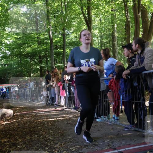 28.09.2025 - 33. Volkslauf durch das schöne Alstertal Strokosch-Dieckow http://msf.ph/oto/8965787 28.09.2025 11:29:55 Ziel 1517, 3053, 3115 meine-sportfotos.de