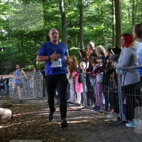 28.09.2025 - 33. Volkslauf durch das schöne Alstertal Strokosch-Dieckow http://msf.ph/oto/8965790 28.09.2025 11:30:02 Ziel 1517, 1518, 3053, 3198, 3199, 3278, 3279 meine-sportfotos.de