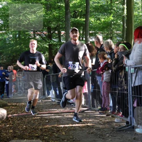 28.09.2025 - 33. Volkslauf durch das schöne Alstertal Strokosch-Dieckow http://msf.ph/oto/8965797 28.09.2025 11:30:08 Ziel 1511, 1518, 3189, 3198, 3199, 3278, 3279, 3318, 3376, 3950 meine-sportfotos.de