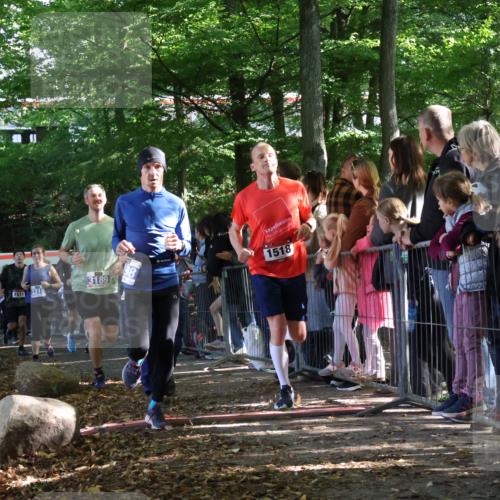 28.09.2025 - 33. Volkslauf durch das schöne Alstertal Strokosch-Dieckow http://msf.ph/oto/8965801 28.09.2025 11:30:10 Ziel 1511, 1514, 1518, 3189, 3198, 3199, 3318, 3376, 3905, 3950 meine-sportfotos.de