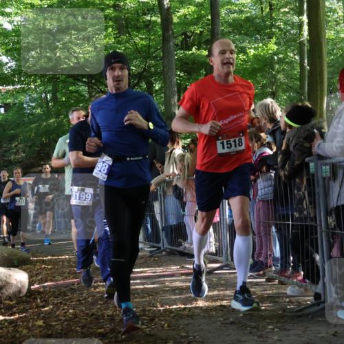 28.09.2025 - 33. Volkslauf durch das schöne Alstertal Strokosch-Dieckow http://msf.ph/oto/8965803 28.09.2025 11:30:11 Ziel 1511, 1514, 1518, 3189, 3198, 3199, 3318, 3376, 3905, 3950 meine-sportfotos.de