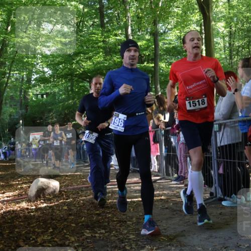 28.09.2025 - 33. Volkslauf durch das schöne Alstertal Strokosch-Dieckow http://msf.ph/oto/8965804 28.09.2025 11:30:11 Ziel 1511, 1514, 1518, 3189, 3198, 3199, 3318, 3376, 3905, 3950 meine-sportfotos.de