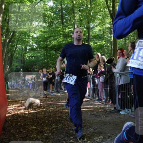 28.09.2025 - 33. Volkslauf durch das schöne Alstertal Strokosch-Dieckow http://msf.ph/oto/8965806 28.09.2025 11:30:12 Ziel 1511, 1514, 1518, 3189, 3198, 3199, 3318, 3376, 3905, 3950 meine-sportfotos.de
