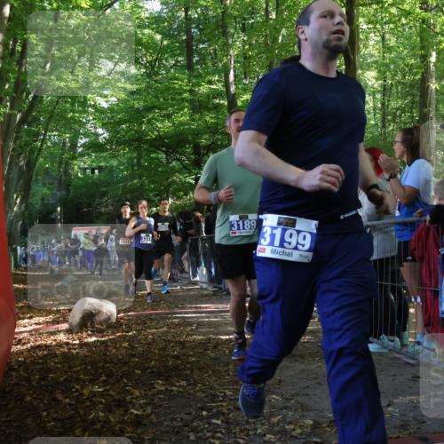 28.09.2025 - 33. Volkslauf durch das schöne Alstertal Strokosch-Dieckow http://msf.ph/oto/8965807 28.09.2025 11:30:12 Ziel 1511, 1514, 1518, 3189, 3198, 3199, 3318, 3376, 3905, 3950 meine-sportfotos.de