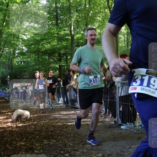 28.09.2025 - 33. Volkslauf durch das schöne Alstertal Strokosch-Dieckow http://msf.ph/oto/8965808 28.09.2025 11:30:13 Ziel 1511, 1514, 3189, 3318, 3376, 3905, 3950 meine-sportfotos.de