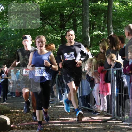 28.09.2025 - 33. Volkslauf durch das schöne Alstertal Strokosch-Dieckow http://msf.ph/oto/8965809 28.09.2025 11:30:13 Ziel 1511, 1514, 3189, 3318, 3376, 3905, 3950 meine-sportfotos.de