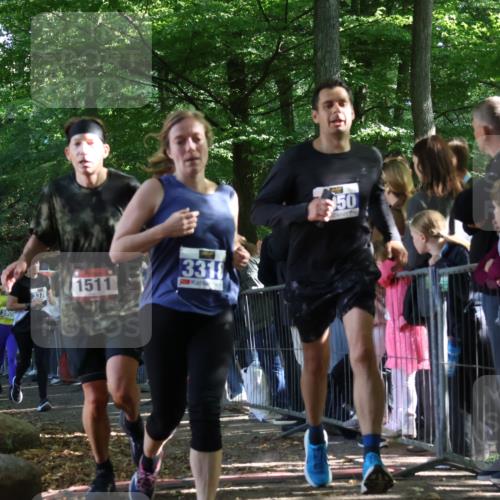 28.09.2025 - 33. Volkslauf durch das schöne Alstertal Strokosch-Dieckow http://msf.ph/oto/8965810 28.09.2025 11:30:14 Ziel 1511, 1514, 3318, 3376, 3905, 3950 meine-sportfotos.de