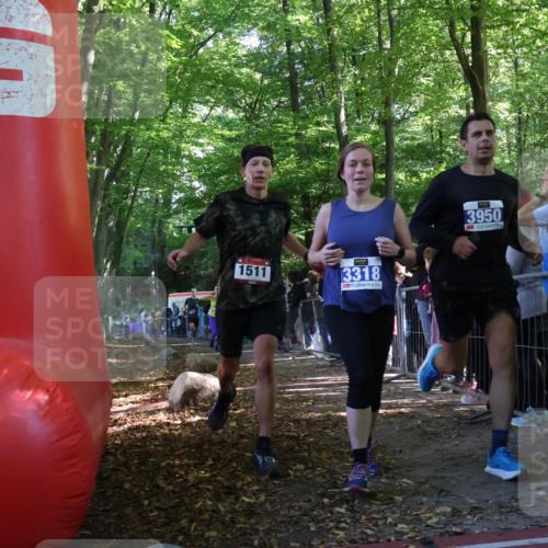 28.09.2025 - 33. Volkslauf durch das schöne Alstertal Strokosch-Dieckow http://msf.ph/oto/8965812 28.09.2025 11:30:15 Ziel 1511, 1514, 3376, 3905, 3950 meine-sportfotos.de