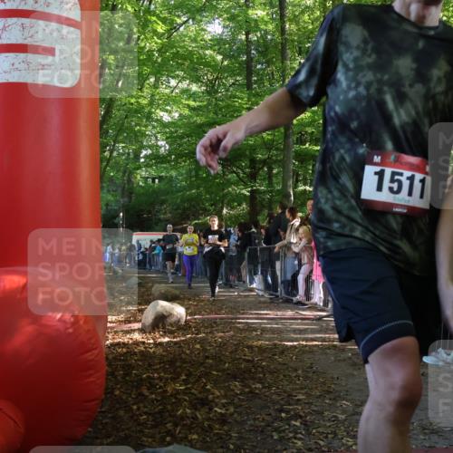 28.09.2025 - 33. Volkslauf durch das schöne Alstertal Strokosch-Dieckow http://msf.ph/oto/8965814 28.09.2025 11:30:15 Ziel 1511, 1514, 3376, 3905, 3950 meine-sportfotos.de