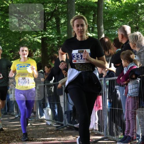 28.09.2025 - 33. Volkslauf durch das schöne Alstertal Strokosch-Dieckow http://msf.ph/oto/8965817 28.09.2025 11:30:18 Ziel 1514, 3376, 3905 meine-sportfotos.de