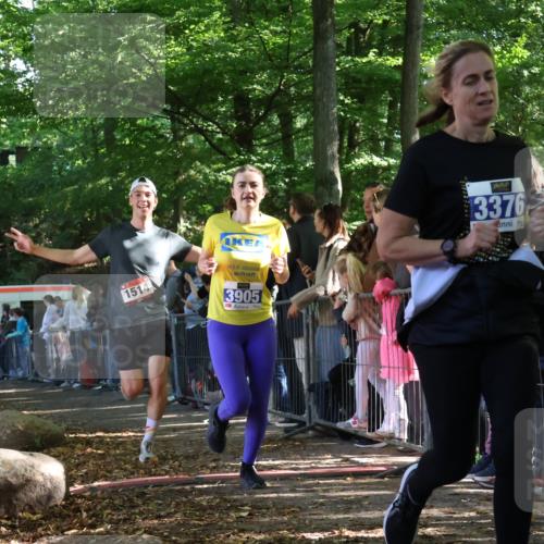 28.09.2025 - 33. Volkslauf durch das schöne Alstertal Strokosch-Dieckow http://msf.ph/oto/8965818 28.09.2025 11:30:18 Ziel 1514, 3376, 3905 meine-sportfotos.de