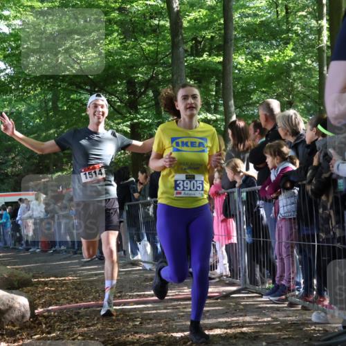 28.09.2025 - 33. Volkslauf durch das schöne Alstertal Strokosch-Dieckow http://msf.ph/oto/8965819 28.09.2025 11:30:19 Ziel 1514, 3905 meine-sportfotos.de