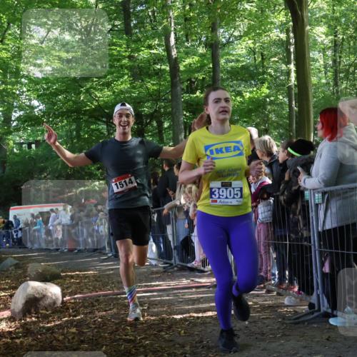 28.09.2025 - 33. Volkslauf durch das schöne Alstertal Strokosch-Dieckow http://msf.ph/oto/8965820 28.09.2025 11:30:19 Ziel 1514, 3905 meine-sportfotos.de