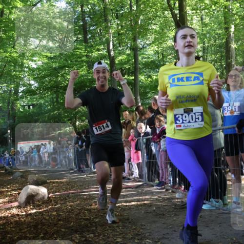 28.09.2025 - 33. Volkslauf durch das schöne Alstertal Strokosch-Dieckow http://msf.ph/oto/8965821 28.09.2025 11:30:20 Ziel 1514 meine-sportfotos.de