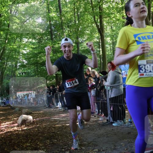 28.09.2025 - 33. Volkslauf durch das schöne Alstertal Strokosch-Dieckow http://msf.ph/oto/8965822 28.09.2025 11:30:20 Ziel 1514 meine-sportfotos.de