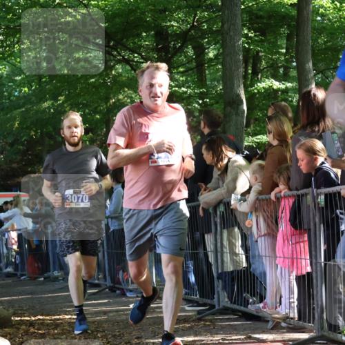 28.09.2025 - 33. Volkslauf durch das schöne Alstertal Strokosch-Dieckow http://msf.ph/oto/8965833 28.09.2025 11:30:52 Ziel 3070, 3352, 3413 meine-sportfotos.de