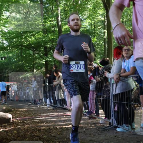 28.09.2025 - 33. Volkslauf durch das schöne Alstertal Strokosch-Dieckow http://msf.ph/oto/8965837 28.09.2025 11:30:54 Ziel 3070, 3233, 3413 meine-sportfotos.de