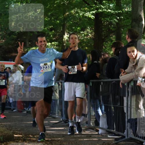 28.09.2025 - 33. Volkslauf durch das schöne Alstertal Strokosch-Dieckow http://msf.ph/oto/8965841 28.09.2025 11:31:01 Ziel 3233, 3234, 3949, 3955 meine-sportfotos.de