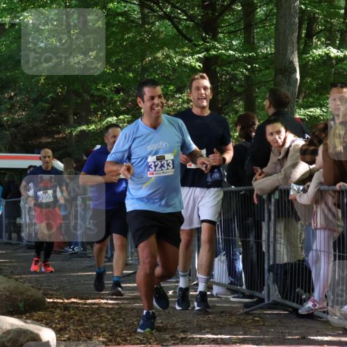 28.09.2025 - 33. Volkslauf durch das schöne Alstertal Strokosch-Dieckow http://msf.ph/oto/8965843 28.09.2025 11:31:02 Ziel 3233, 3234, 3949, 3955 meine-sportfotos.de