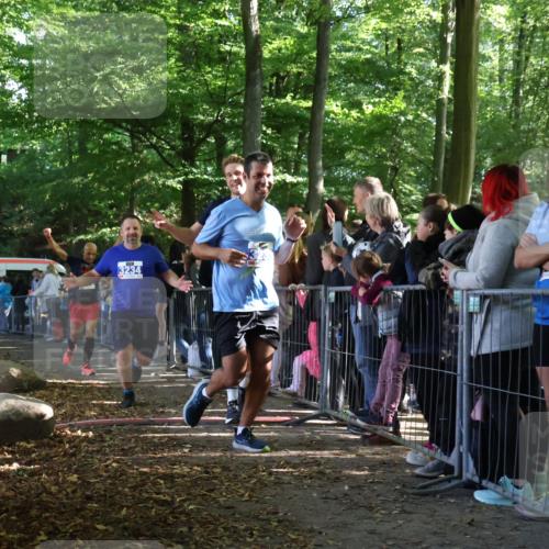 28.09.2025 - 33. Volkslauf durch das schöne Alstertal Strokosch-Dieckow http://msf.ph/oto/8965846 28.09.2025 11:31:03 Ziel 3233, 3234, 3949, 3955 meine-sportfotos.de