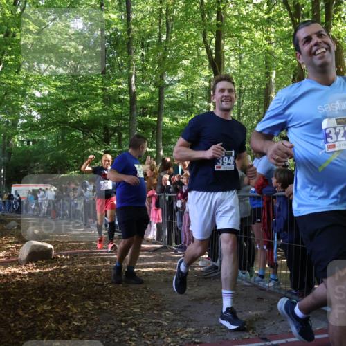 28.09.2025 - 33. Volkslauf durch das schöne Alstertal Strokosch-Dieckow http://msf.ph/oto/8965850 28.09.2025 11:31:05 Ziel 3234, 3949, 3955 meine-sportfotos.de