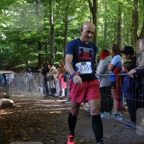 28.09.2025 - 33. Volkslauf durch das schöne Alstertal Strokosch-Dieckow http://msf.ph/oto/8965856 28.09.2025 11:31:08 Ziel 3293 meine-sportfotos.de