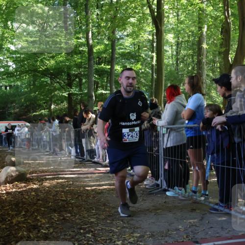 28.09.2025 - 33. Volkslauf durch das schöne Alstertal Strokosch-Dieckow http://msf.ph/oto/8965862 28.09.2025 11:31:16 Ziel 3293, 3377 meine-sportfotos.de