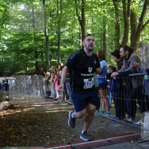 28.09.2025 - 33. Volkslauf durch das schöne Alstertal Strokosch-Dieckow http://msf.ph/oto/8965863 28.09.2025 11:31:16 Ziel 3293, 3377 meine-sportfotos.de