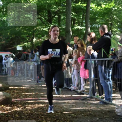 28.09.2025 - 33. Volkslauf durch das schöne Alstertal Strokosch-Dieckow http://msf.ph/oto/8965874 28.09.2025 11:31:19 Ziel 3377 meine-sportfotos.de